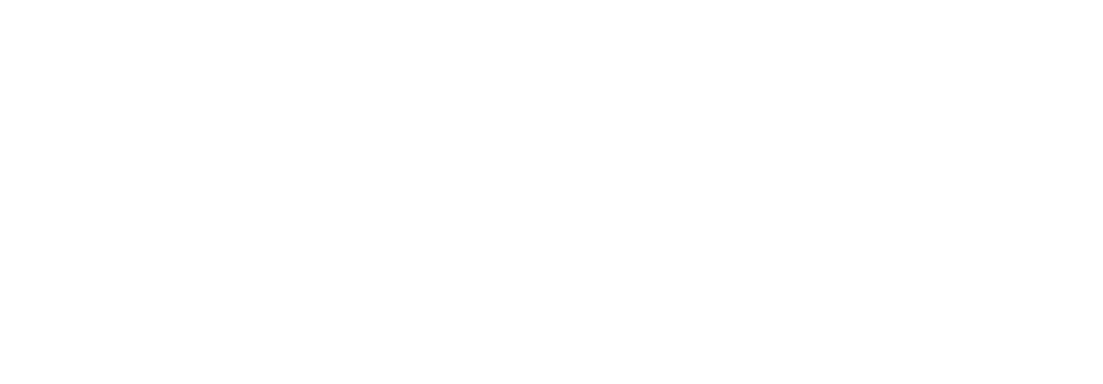 Professional Design
